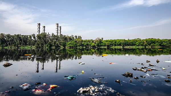 A pond near a factory. The pond is surrounded by trees. The water is polluted with garbage.