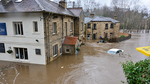 Homes and vehicles in a community where the ground is covered in water.