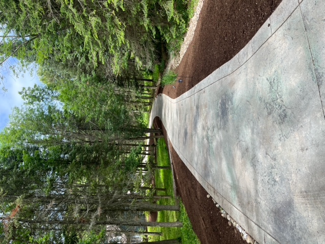 A landscaped driveway in a heavily wooded area.